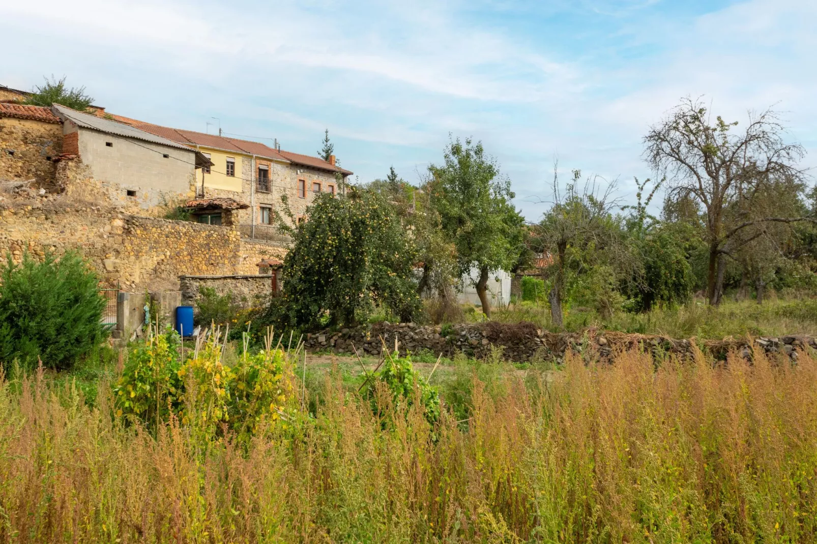 Casa rural Benllera-Tuinen zomer