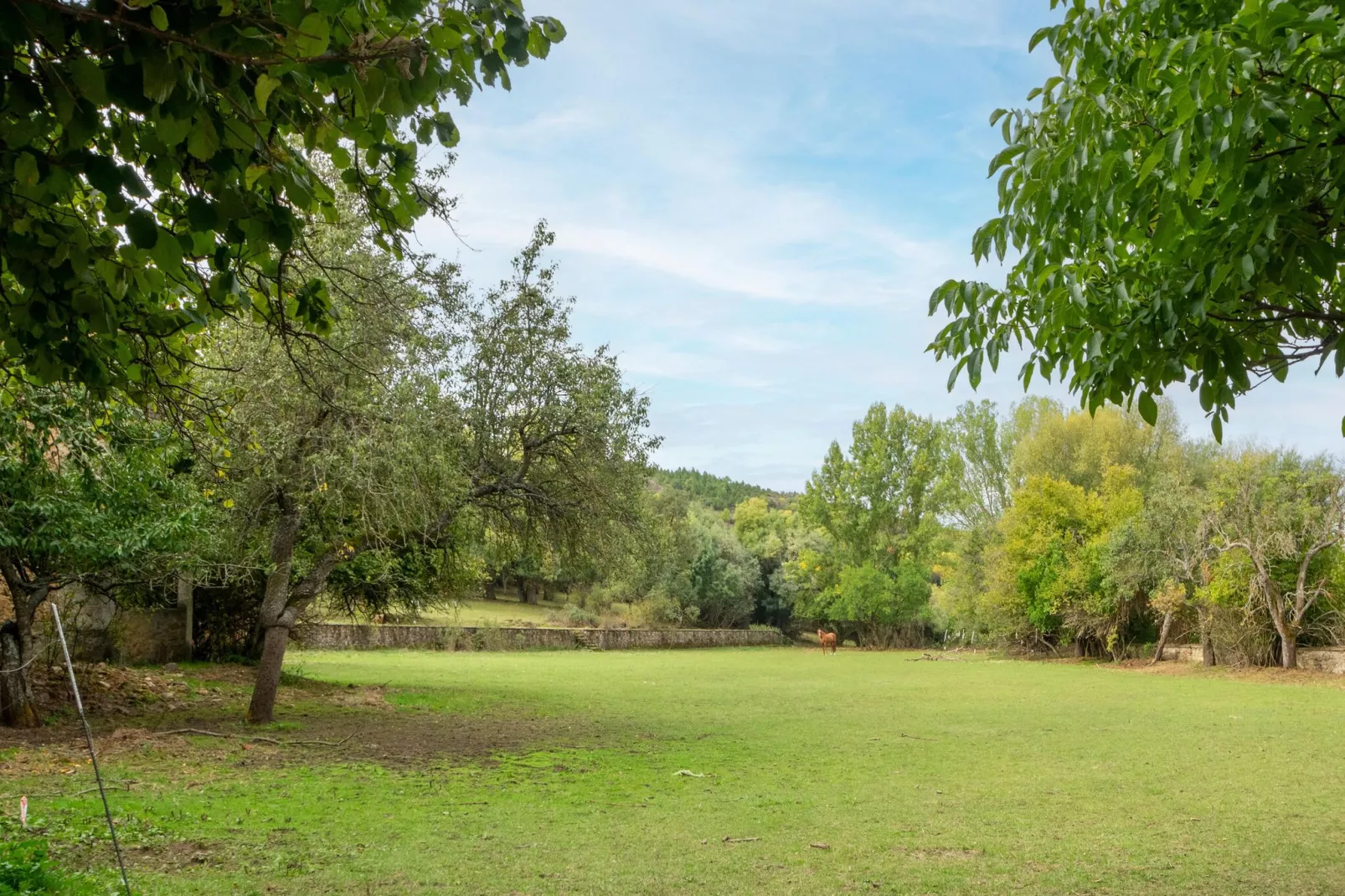 Casa rural Benllera-Tuinen zomer