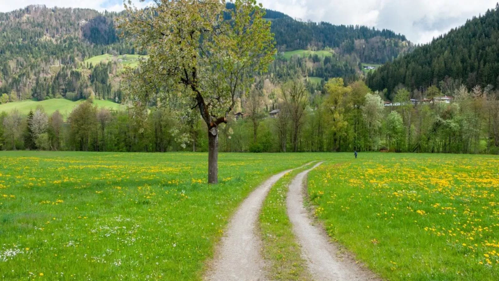 Edelalm Residenz Top 6-Gebieden zomer 5km