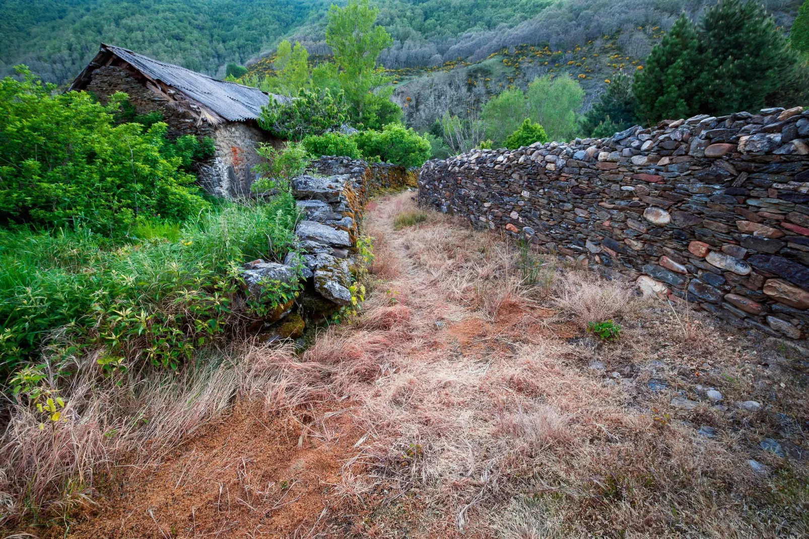 Casa rural Leon I-Gebieden zomer 1km