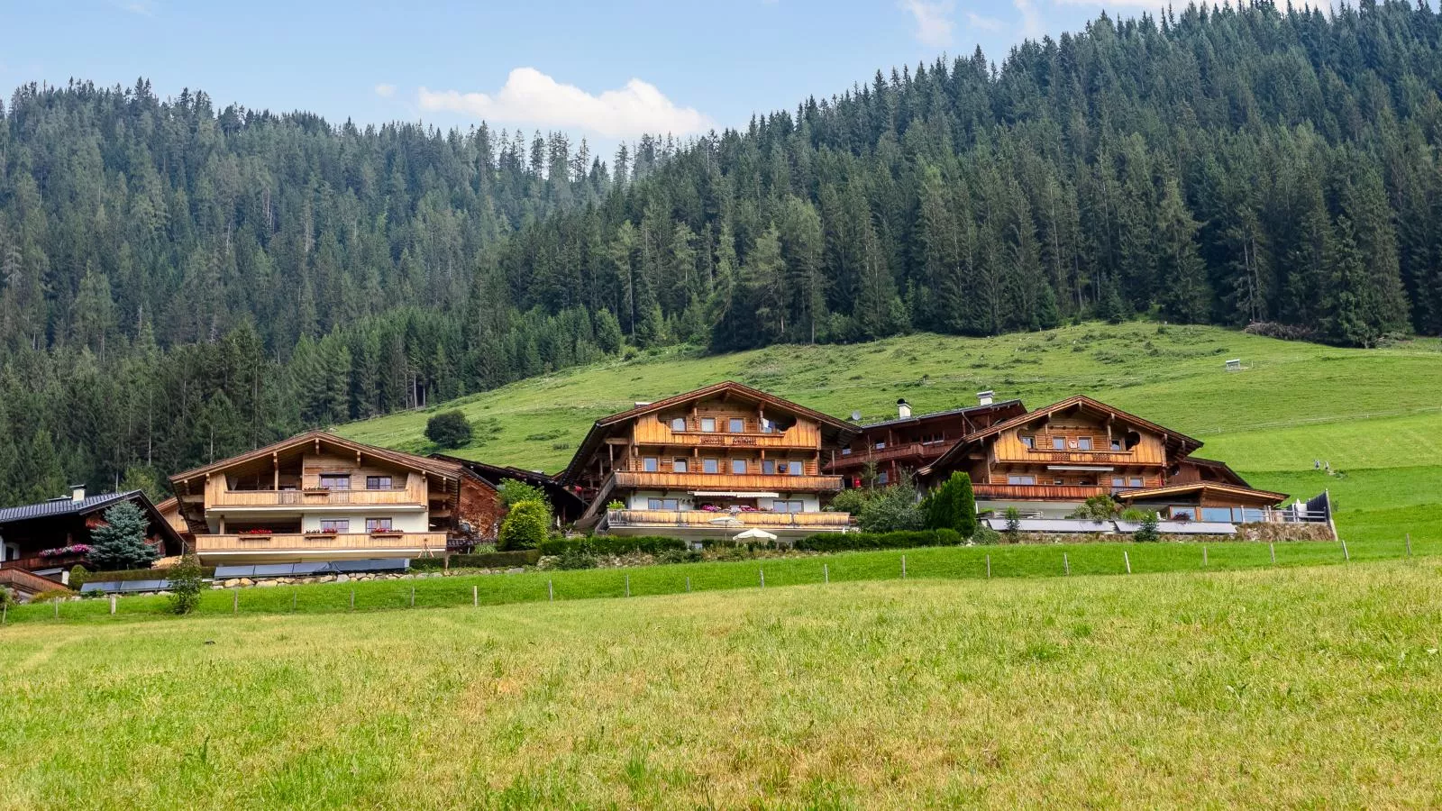 Haus Fernwald Top Rens-Buitenkant zomer