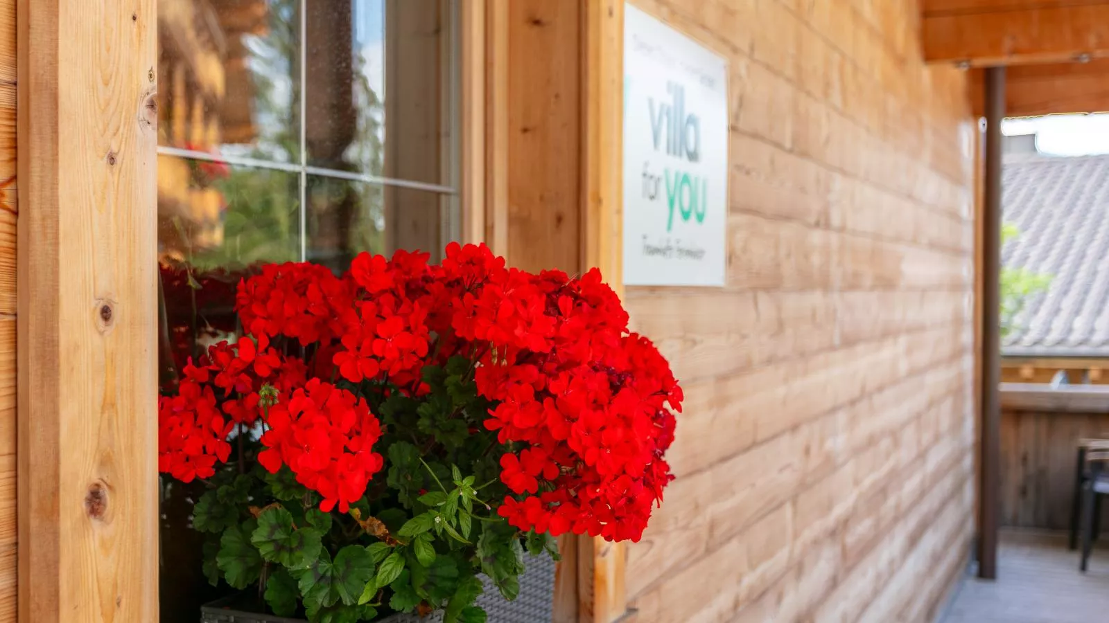 Haus Fernwald Top Tim-Buitenkant zomer