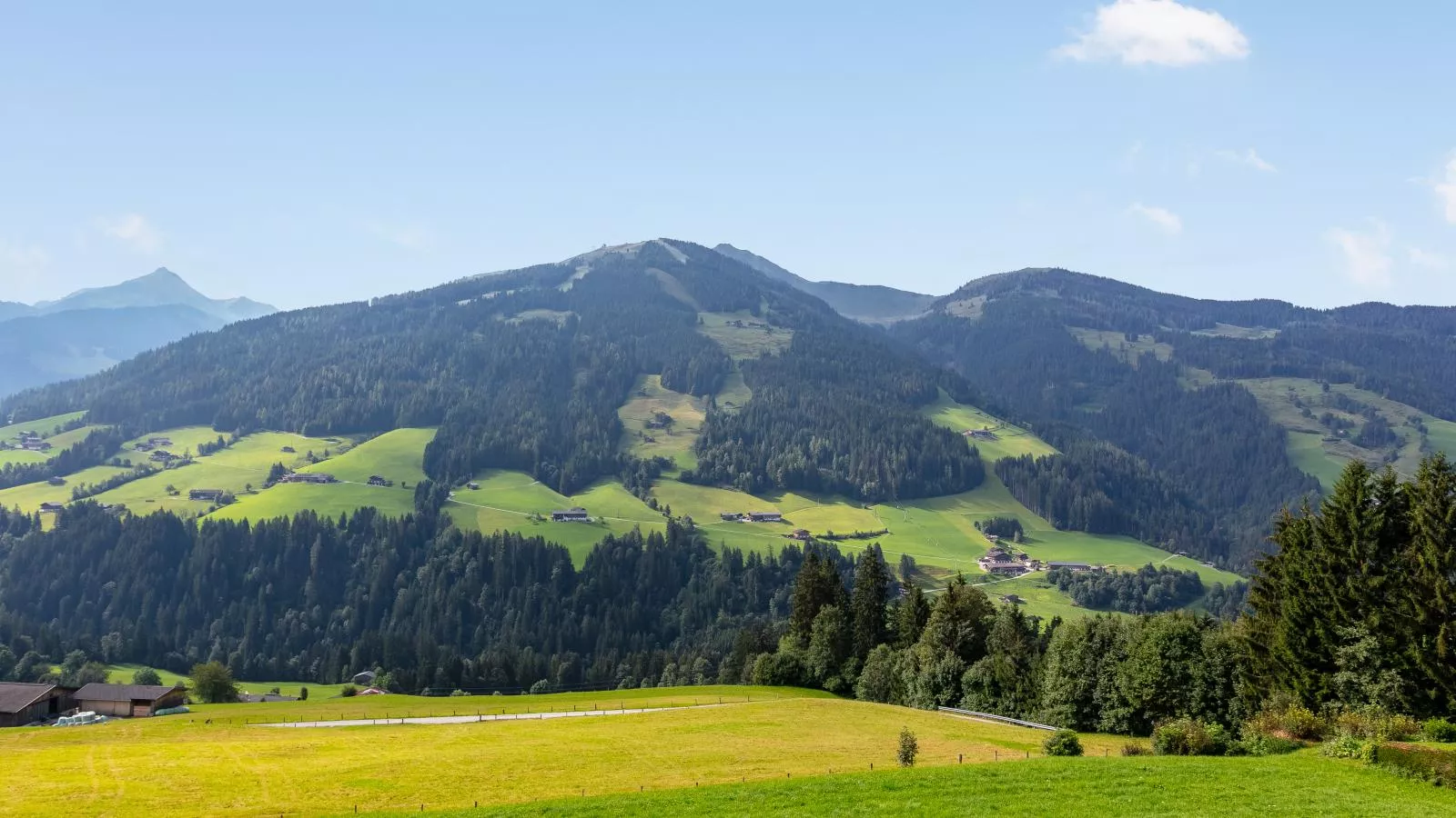 Haus Fernwald Top Jill und Rens-Uitzicht zomer