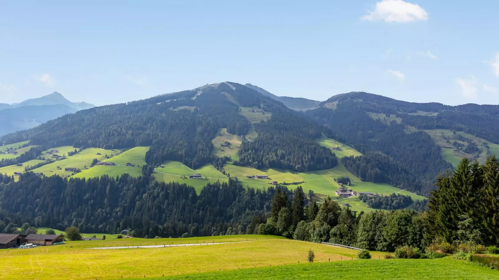 Haus Fernwald-Uitzicht zomer