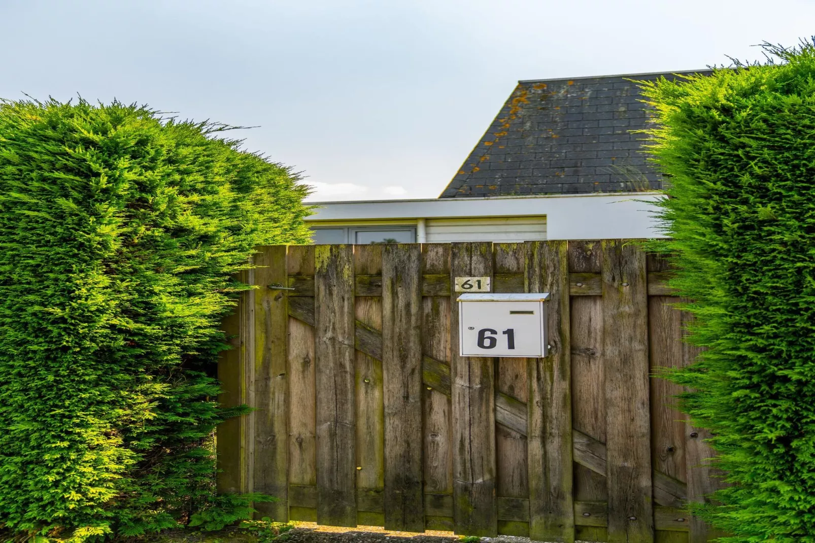 Strandhuis Schoneveld-Tuinen zomer