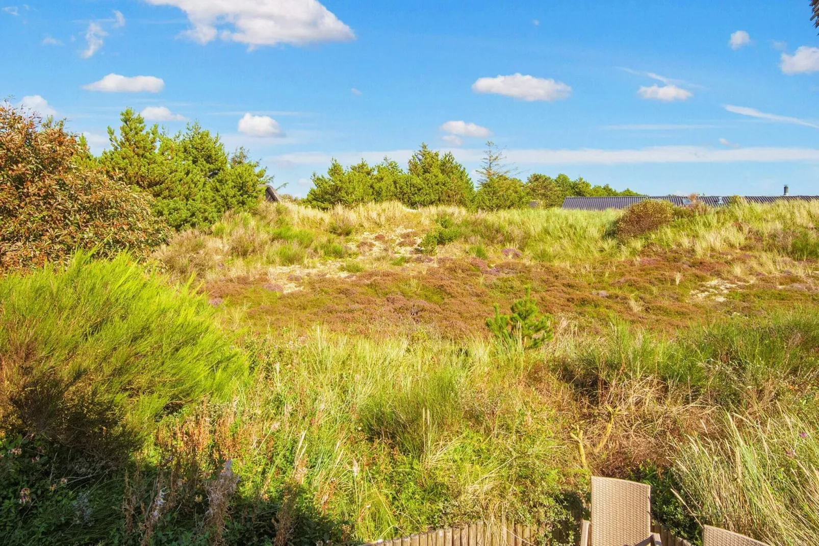 4 persoons vakantie huis in Ringkøbing-Uitzicht