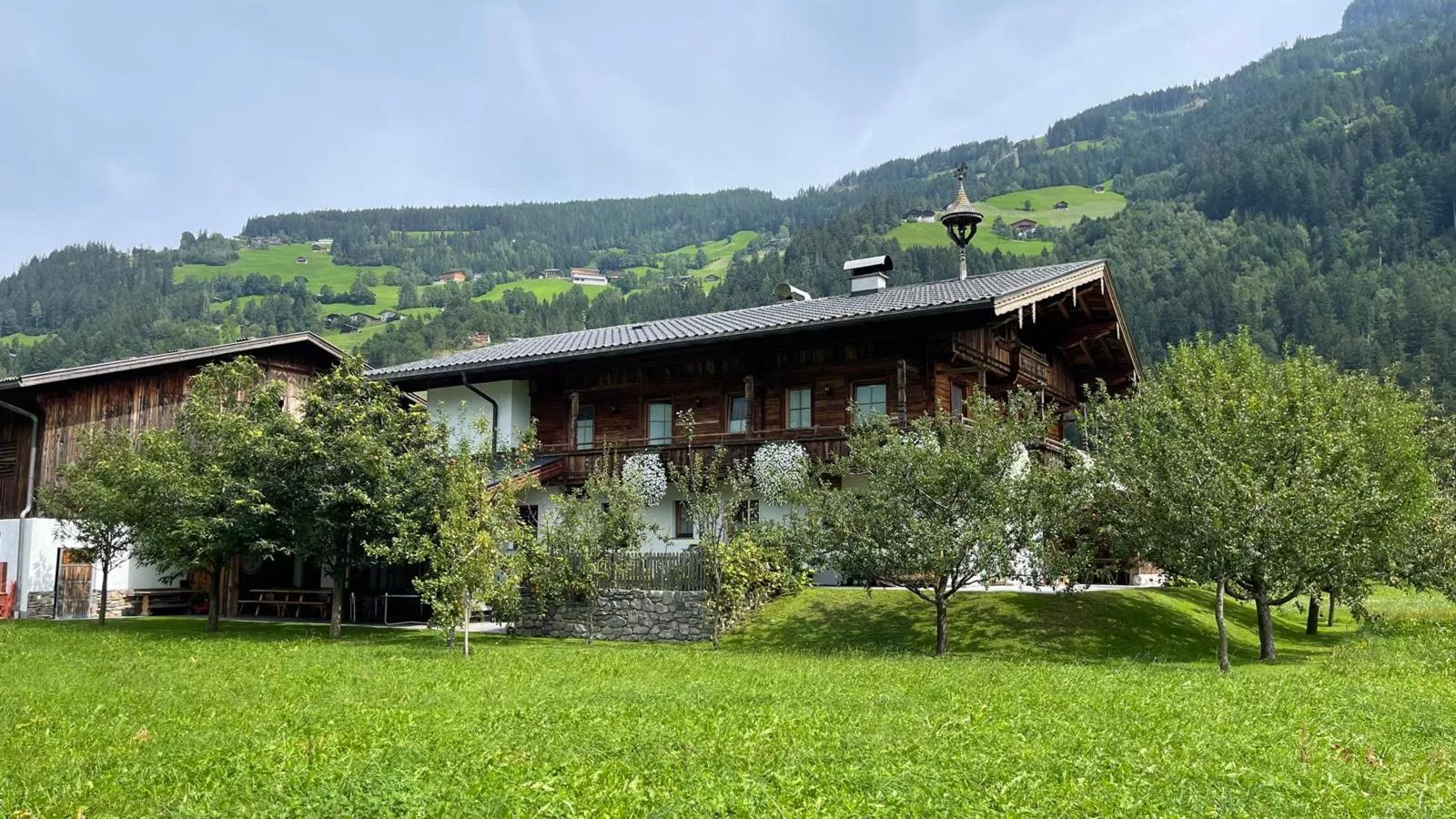 Blick zum Mayrhofen-Buitenkant zomer