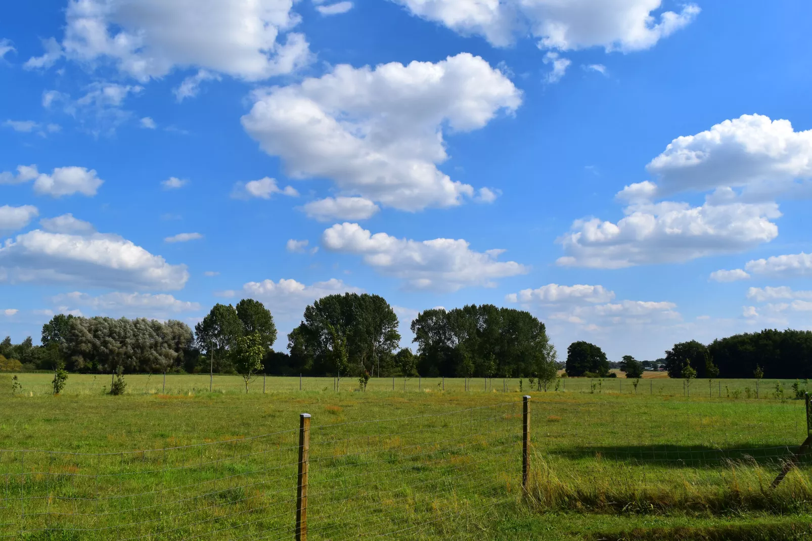 Ferienwohnung Körchow 4 P-Uitzicht zomer