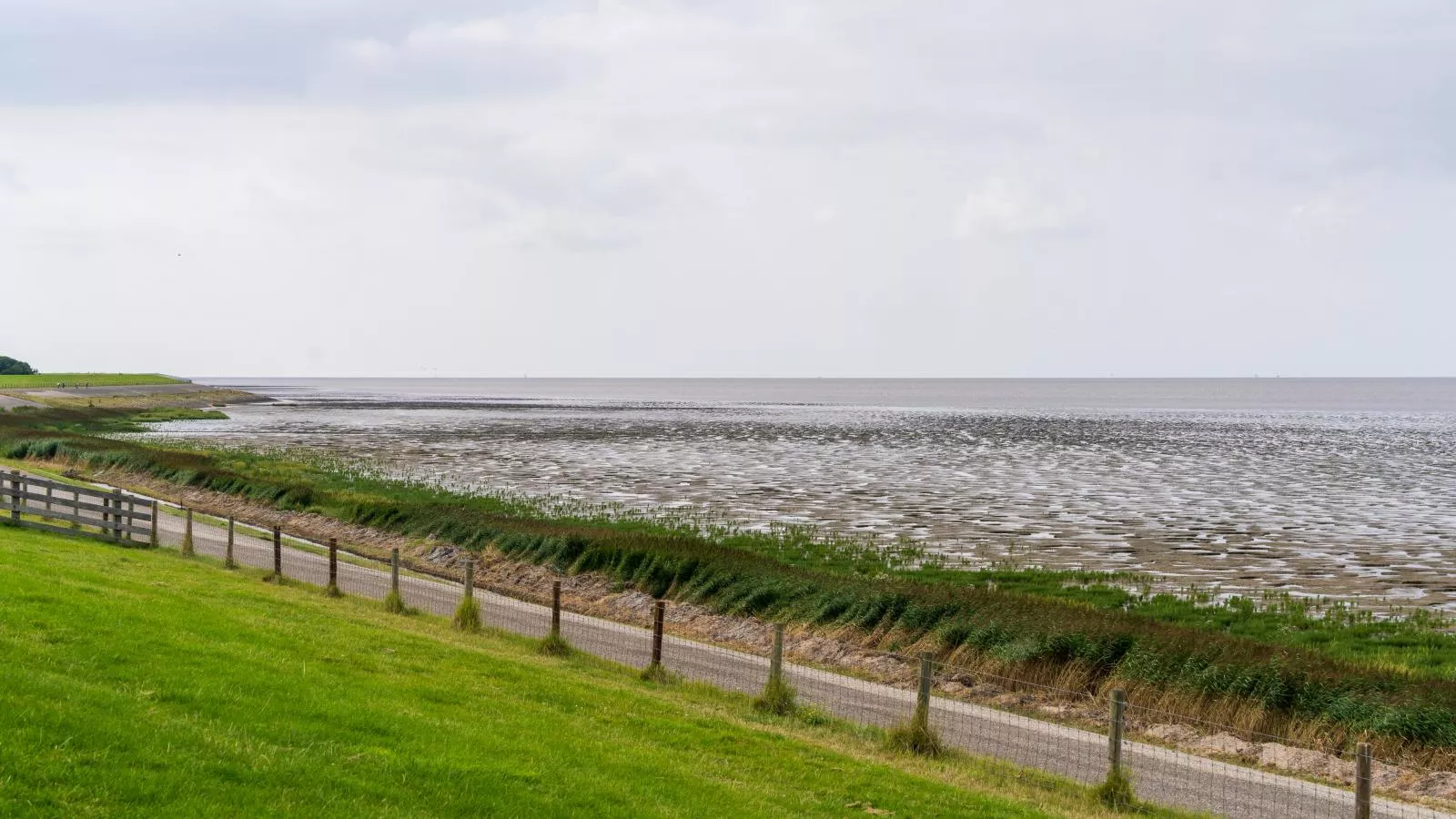 Huske 2-Gebieden zomer 1km