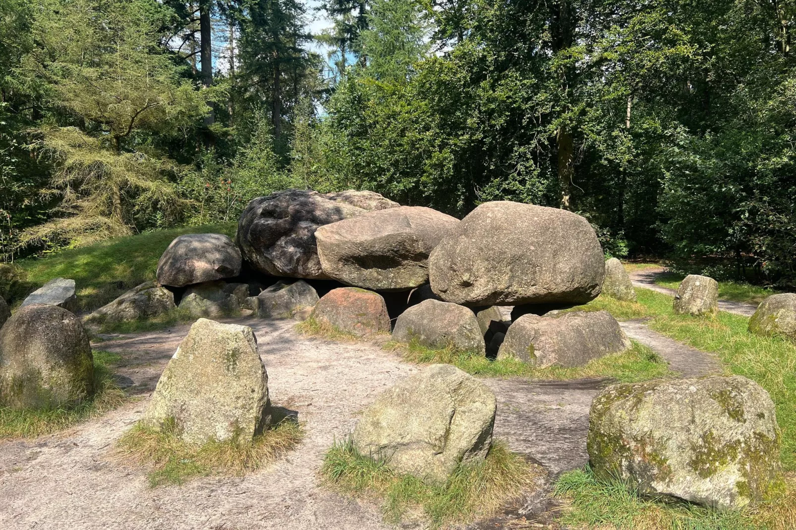 De Ploeg 6P-Gebieden zomer 1km