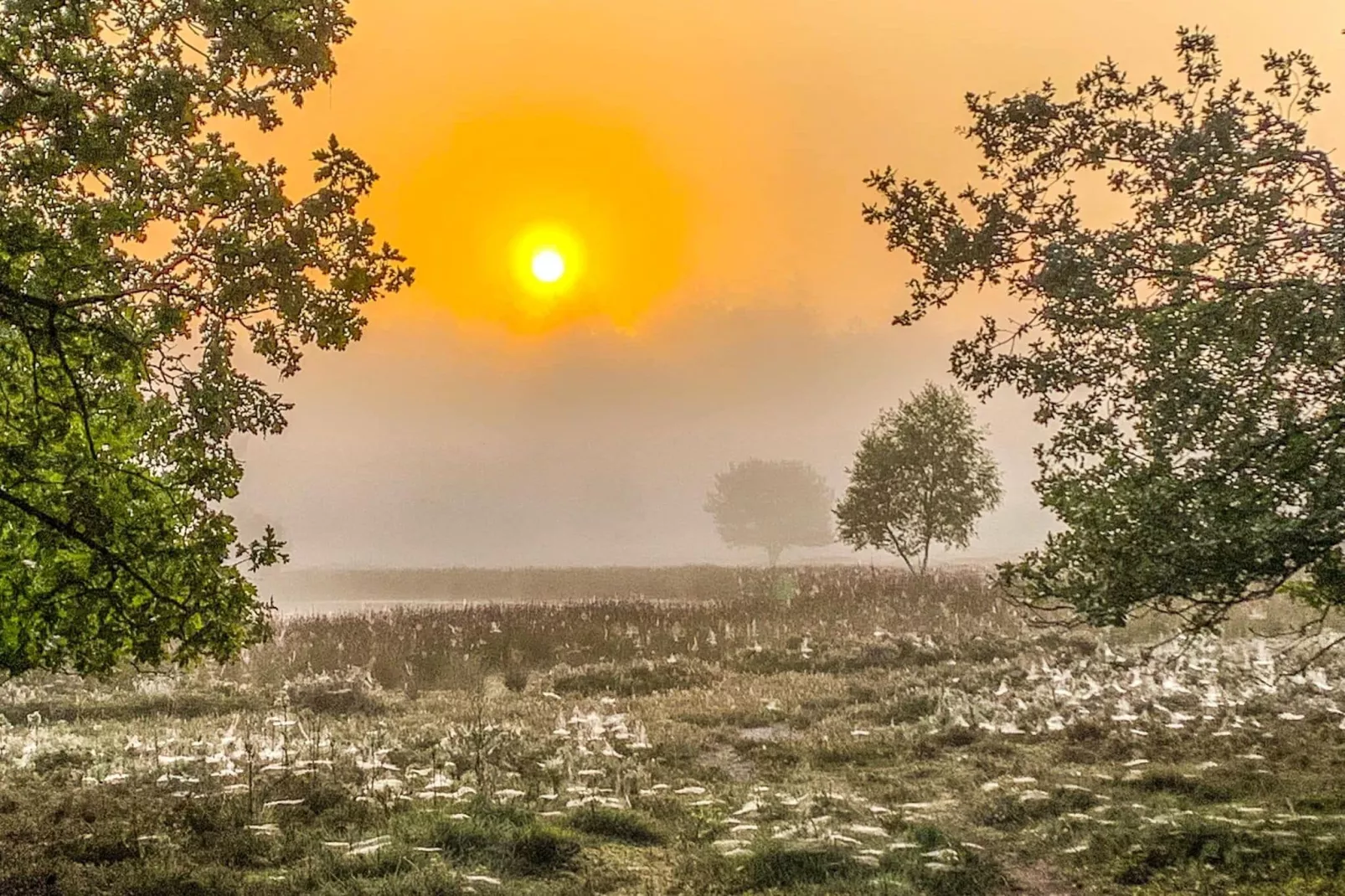 De Riek 4P-Gebieden zomer 20km