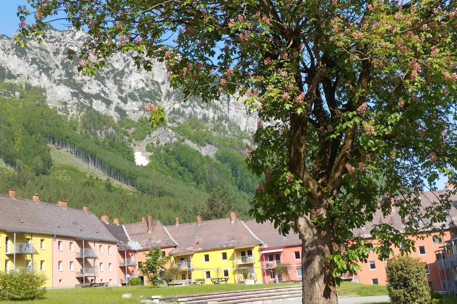 Erzberg Alpin Resort 5-Gebieden zomer 1km