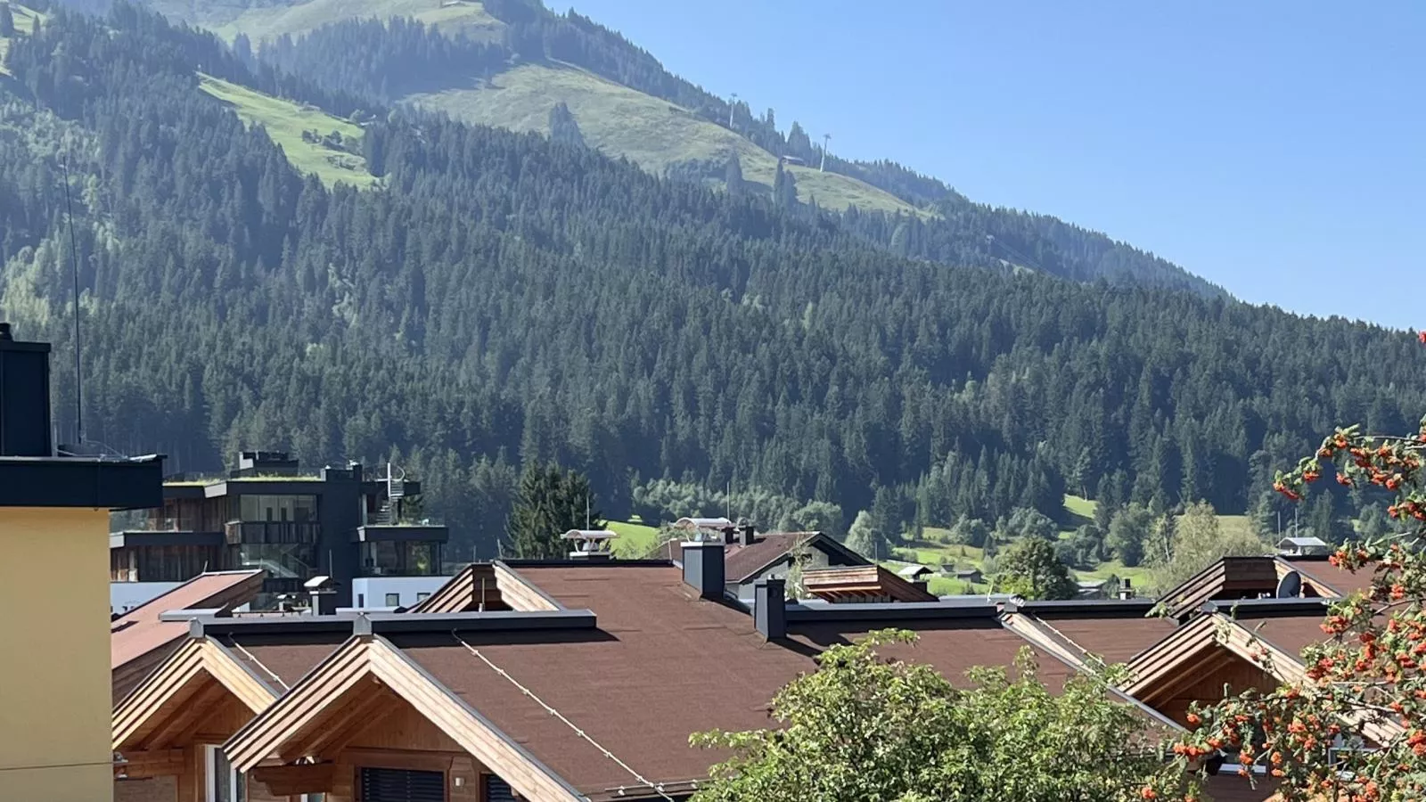 Edelalm Residenz Top 4-Uitzicht zomer