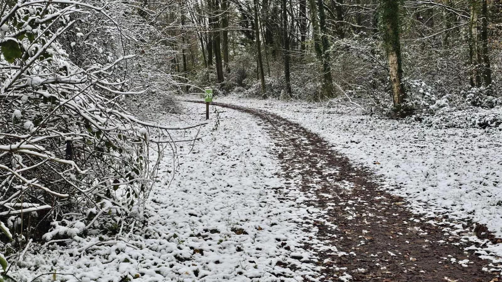 De Spil-Gebied winter 1km