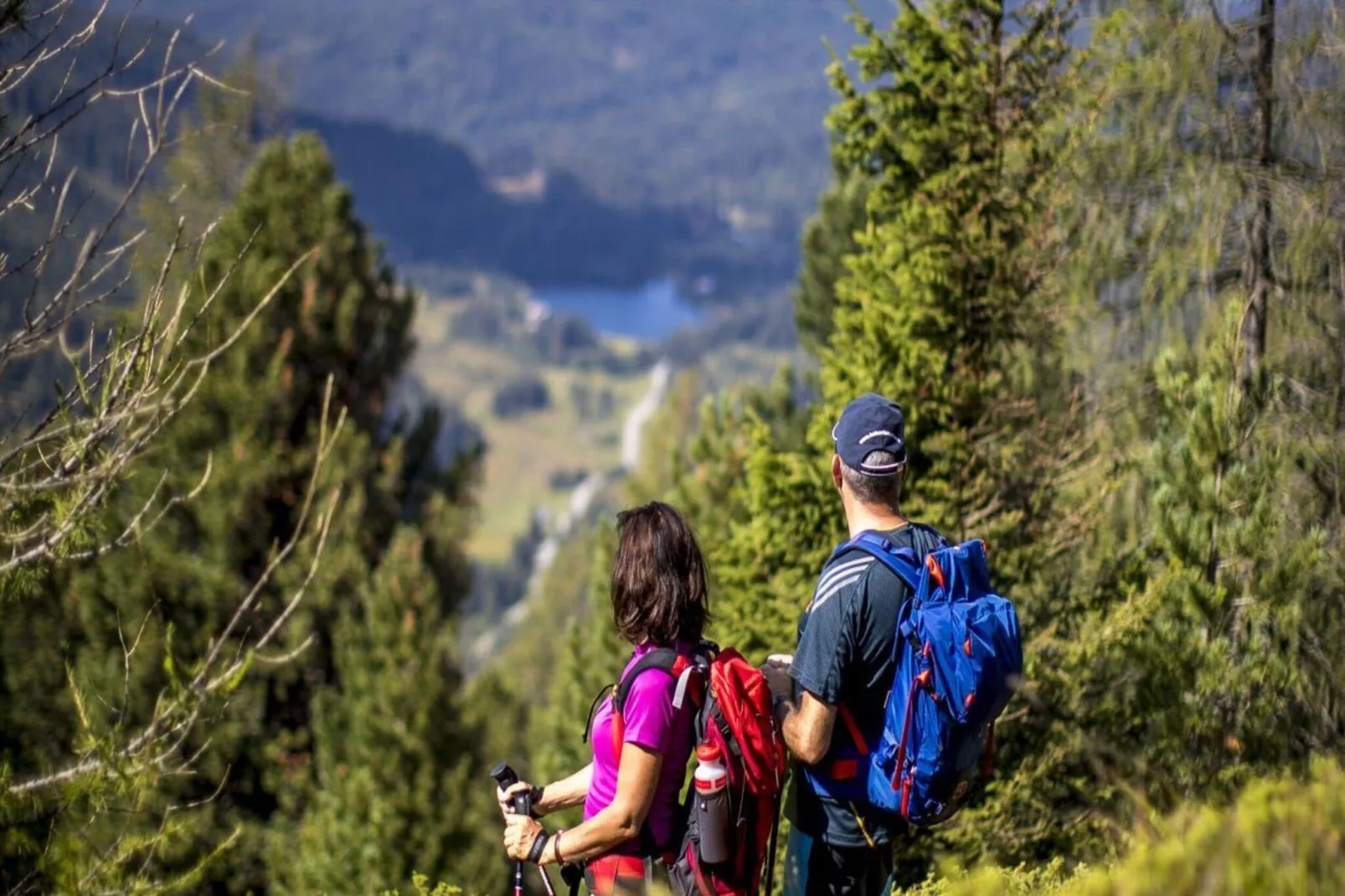 Ferienpark Kreischberg 5-Gebieden zomer 1km