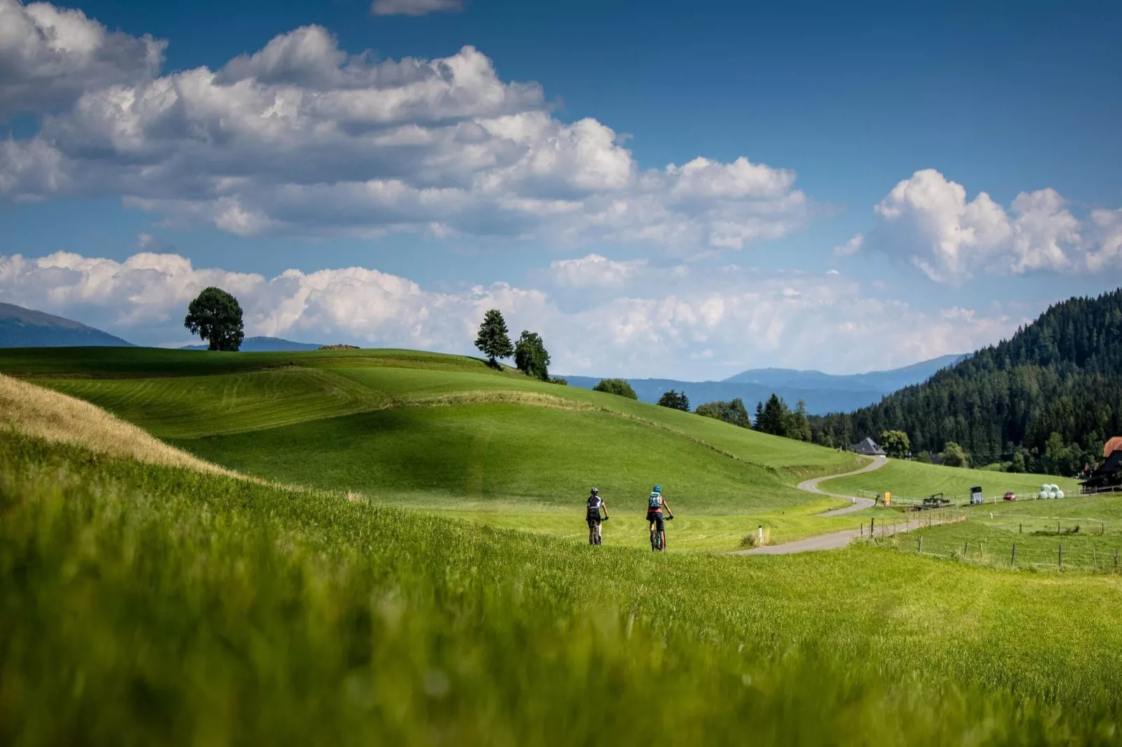 Ferienpark Kreischberg 5-Gebieden zomer 5km