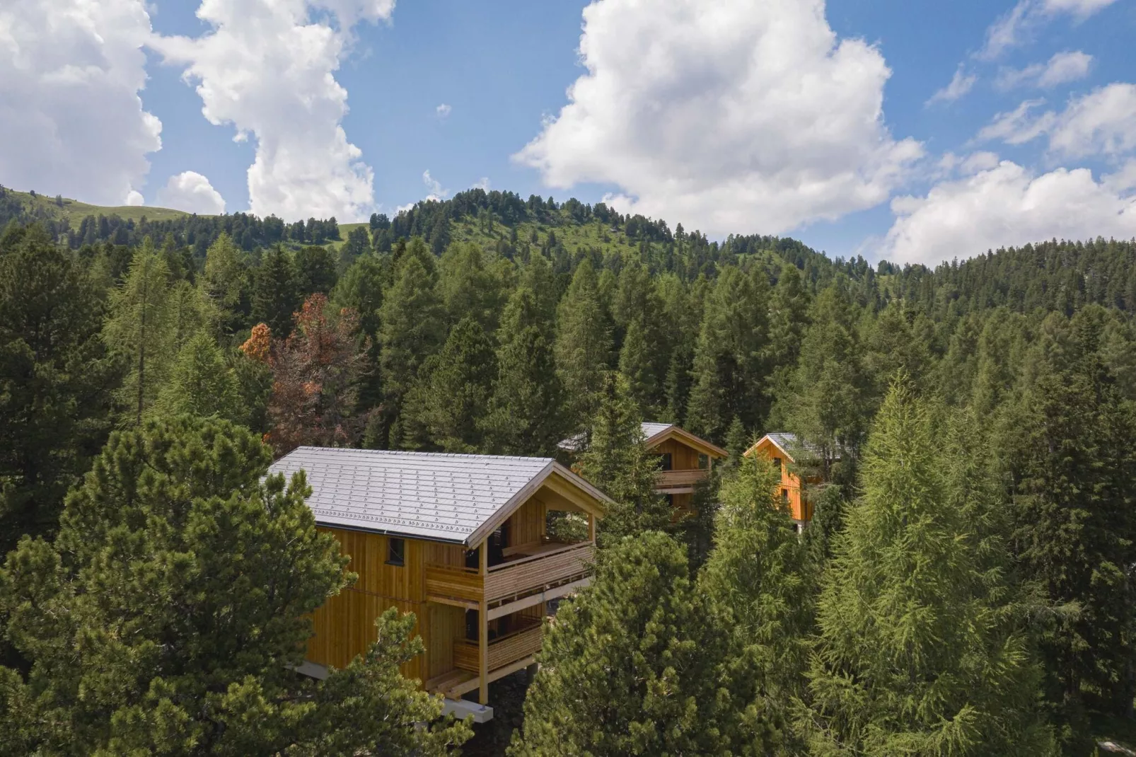 Naturchalets Turracher Höhe 2-Gebieden zomer 1km