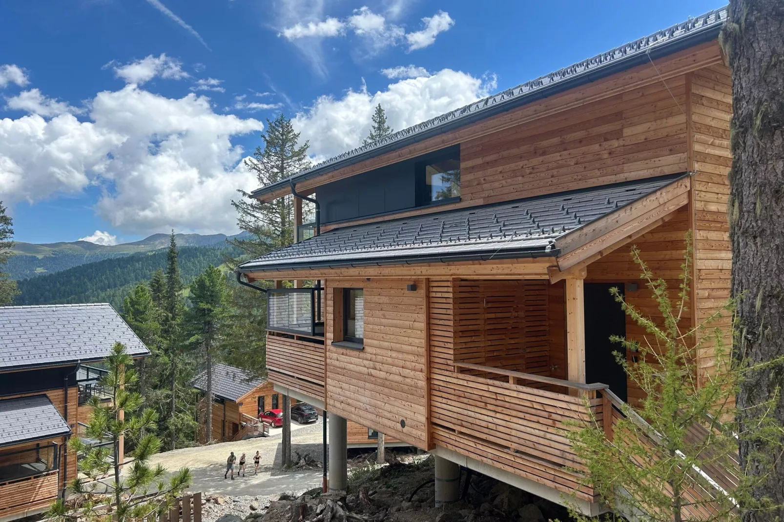 Naturchalets Turracher Höhe 2-Uitzicht zomer