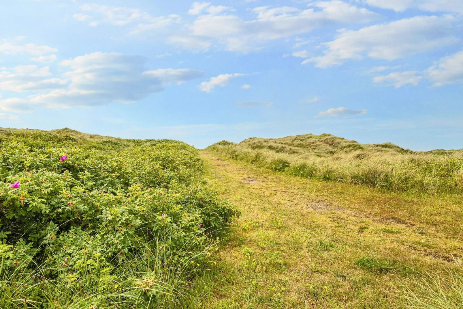 16 persoons vakantie huis in Hvide Sande-Sauna