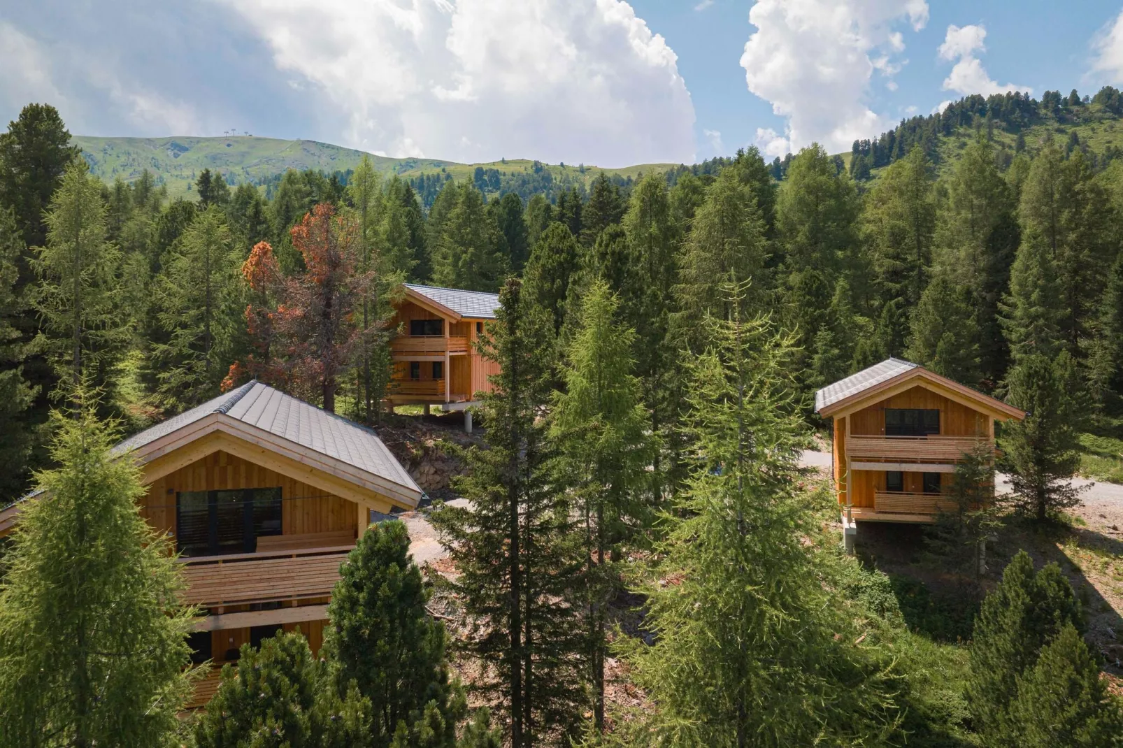 Naturchalets Turracher Höhe 6-Gebieden zomer 1km