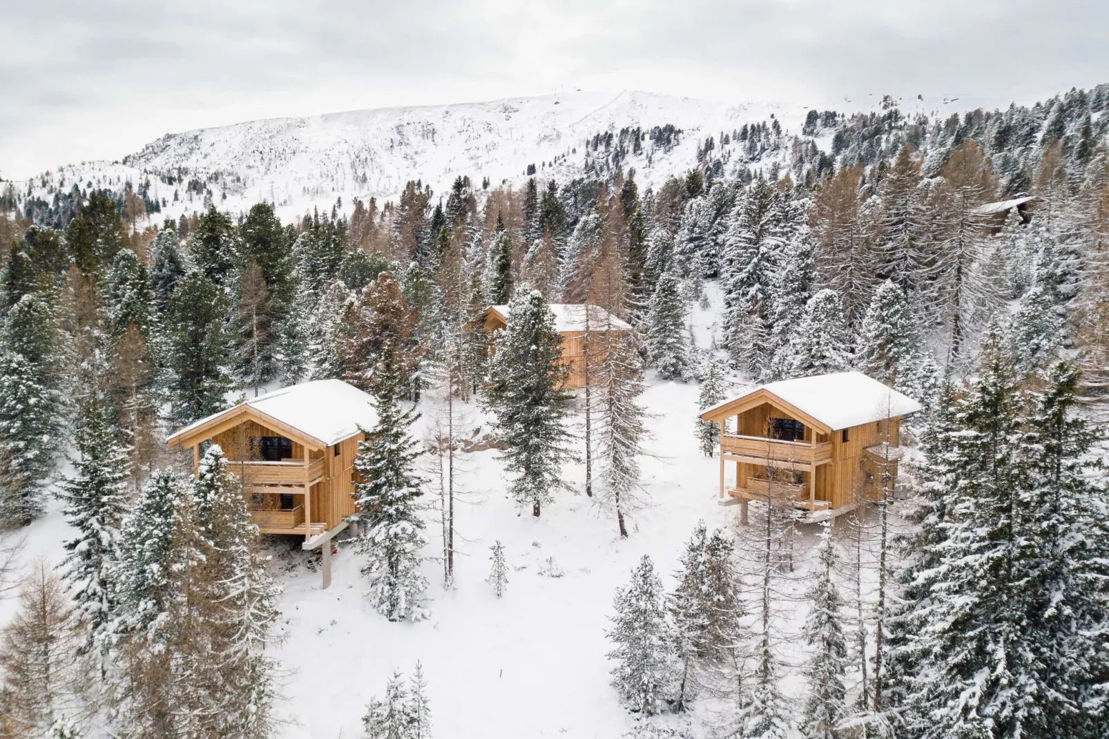 Naturchalets Turracher Höhe 7-Gebied winter 1km