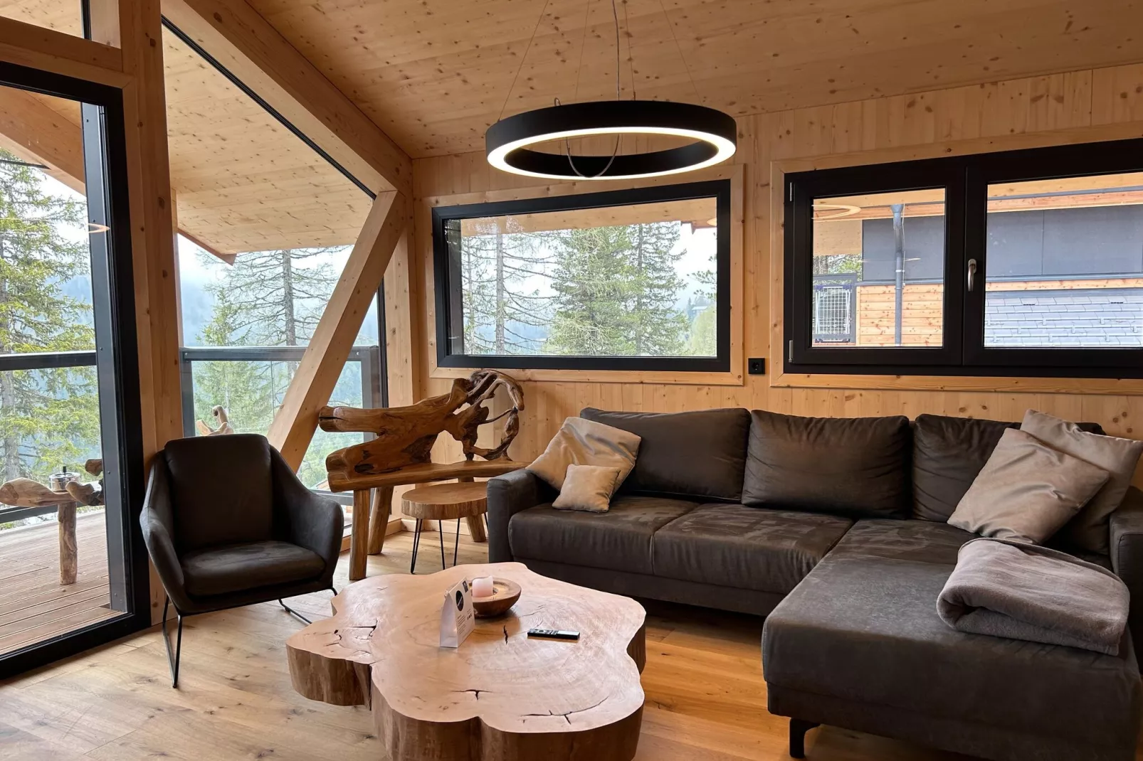 Naturchalets Turracher Höhe 8-Woonkamer