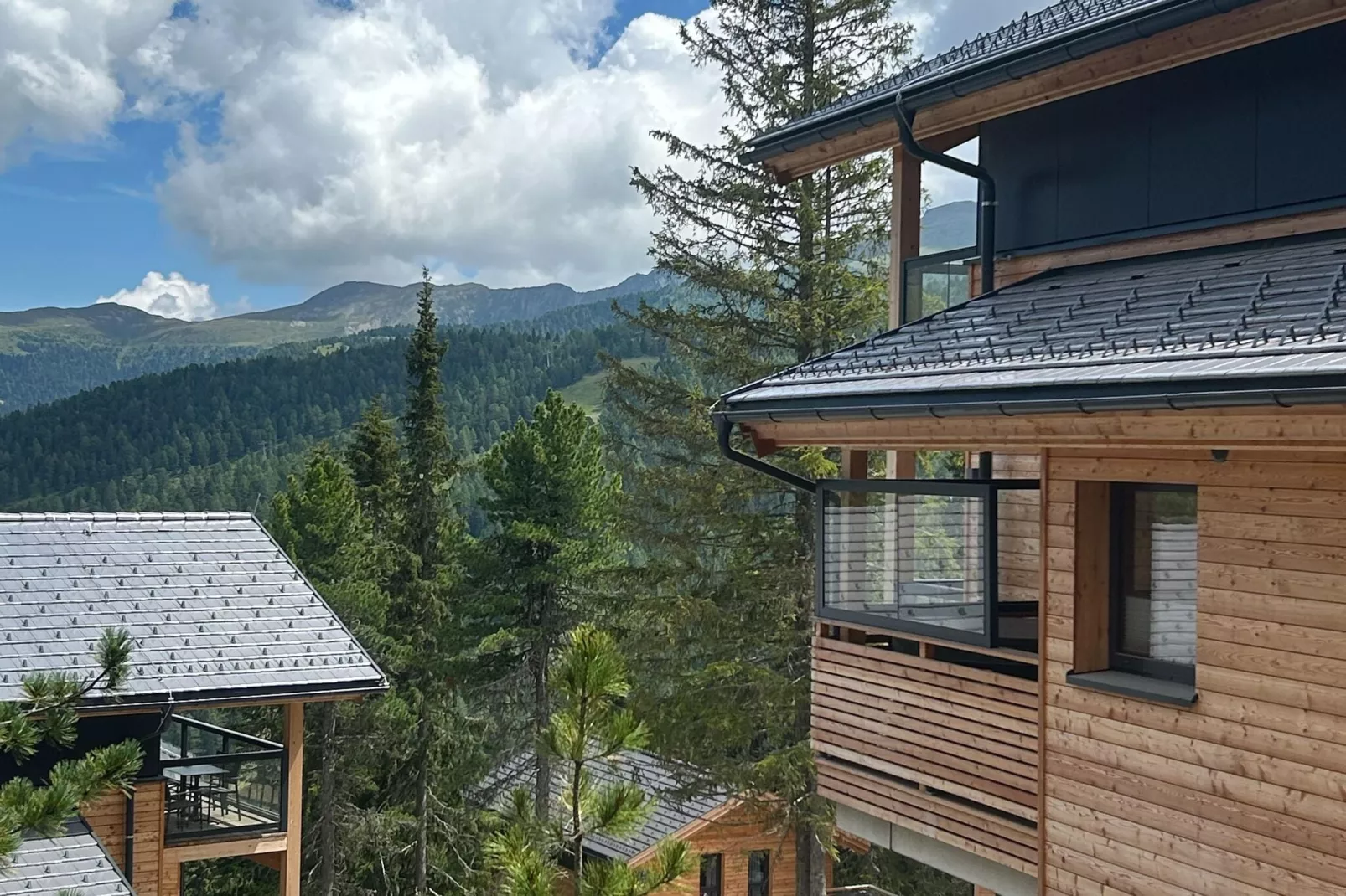 Naturchalets Turracher Höhe 8-Uitzicht zomer