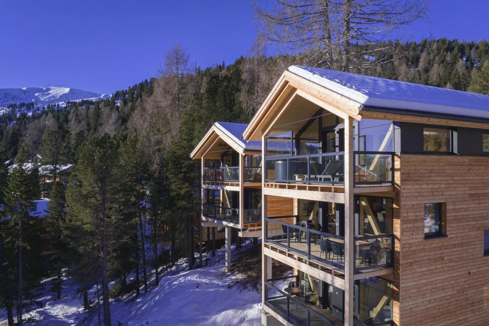 Naturchalets Turracher Höhe 10-Exterieur winter