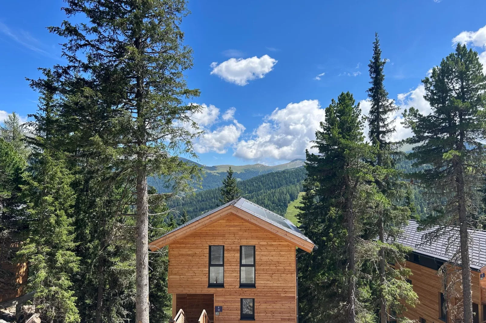 Naturchalets Turracher Höhe 11-Uitzicht zomer