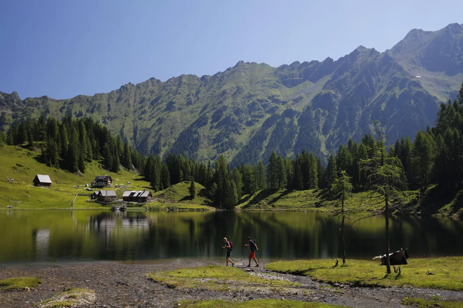 Alpenchalets Reiteralm 2-Gebieden zomer 5km