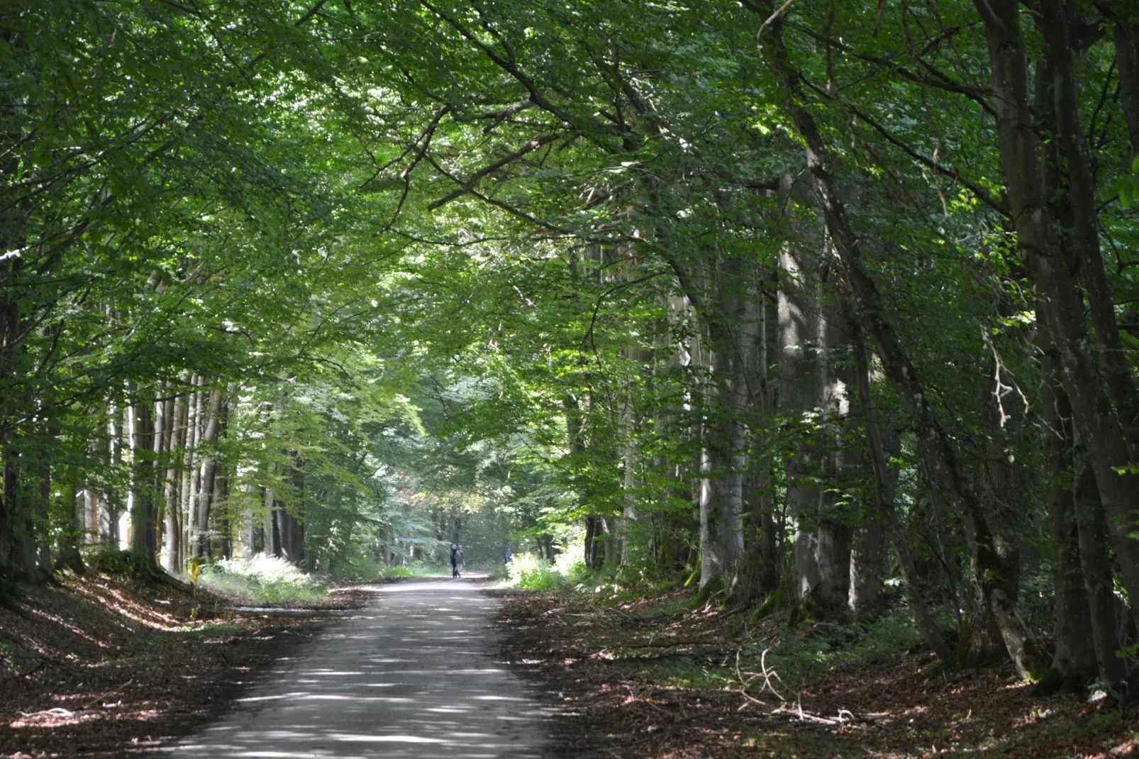 Nuts Loft-Gebieden zomer 1km