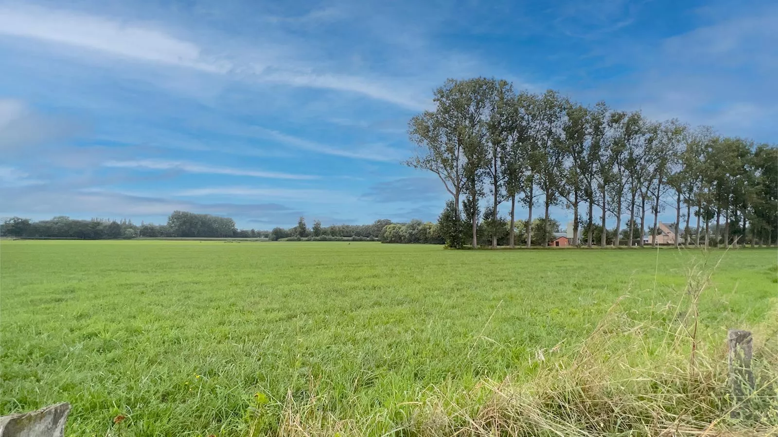 Lindehoeve-Uitzicht zomer