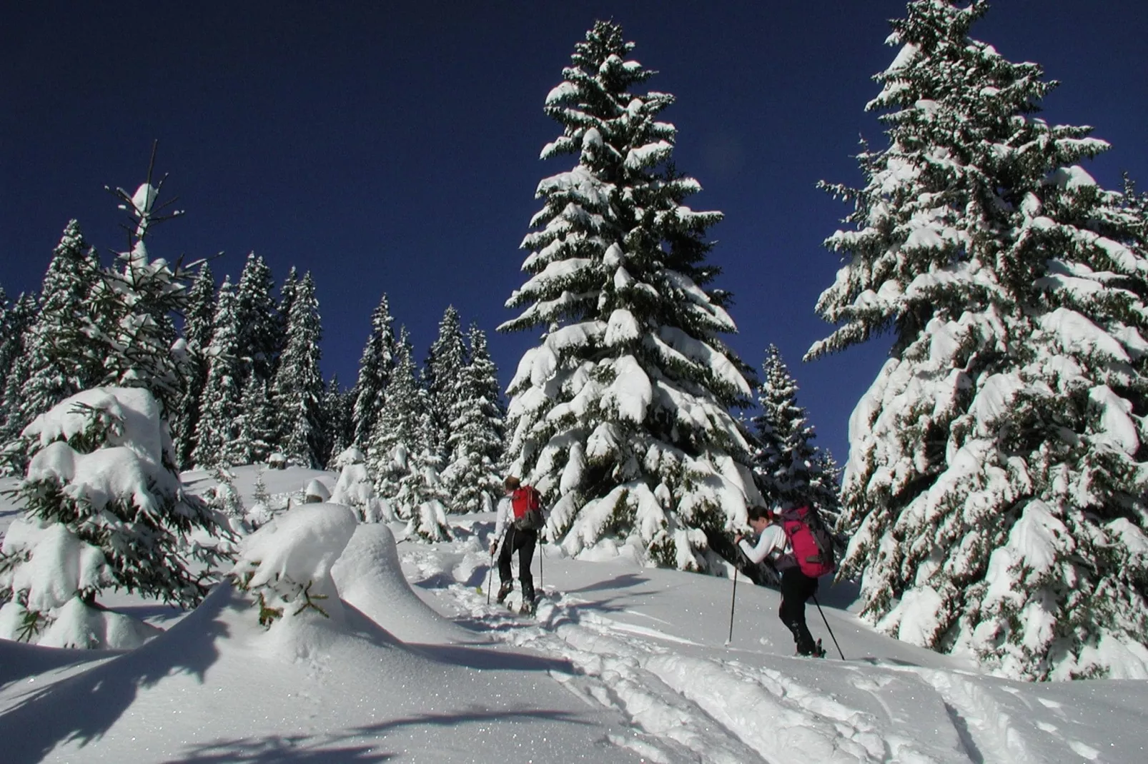 Erzberg Alpin Resort 5-Gebied winter 5km