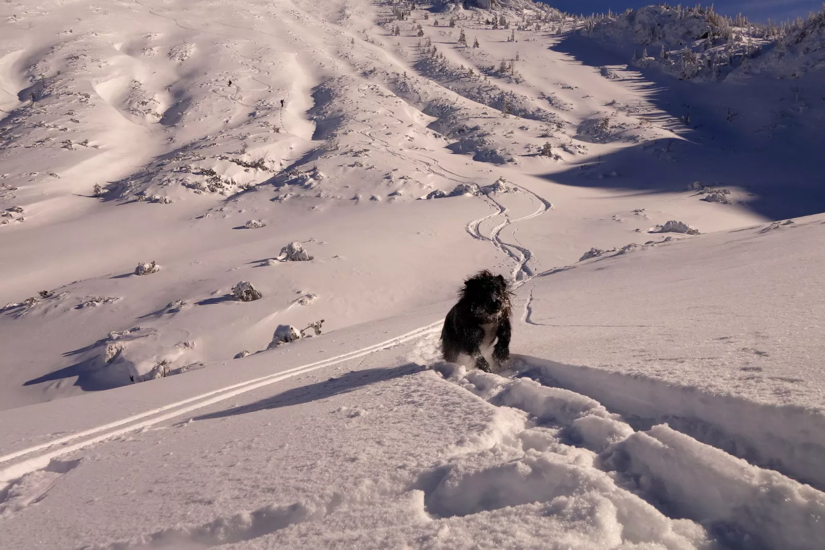 Erzberg Alpin Resort 5-Gebied winter 5km