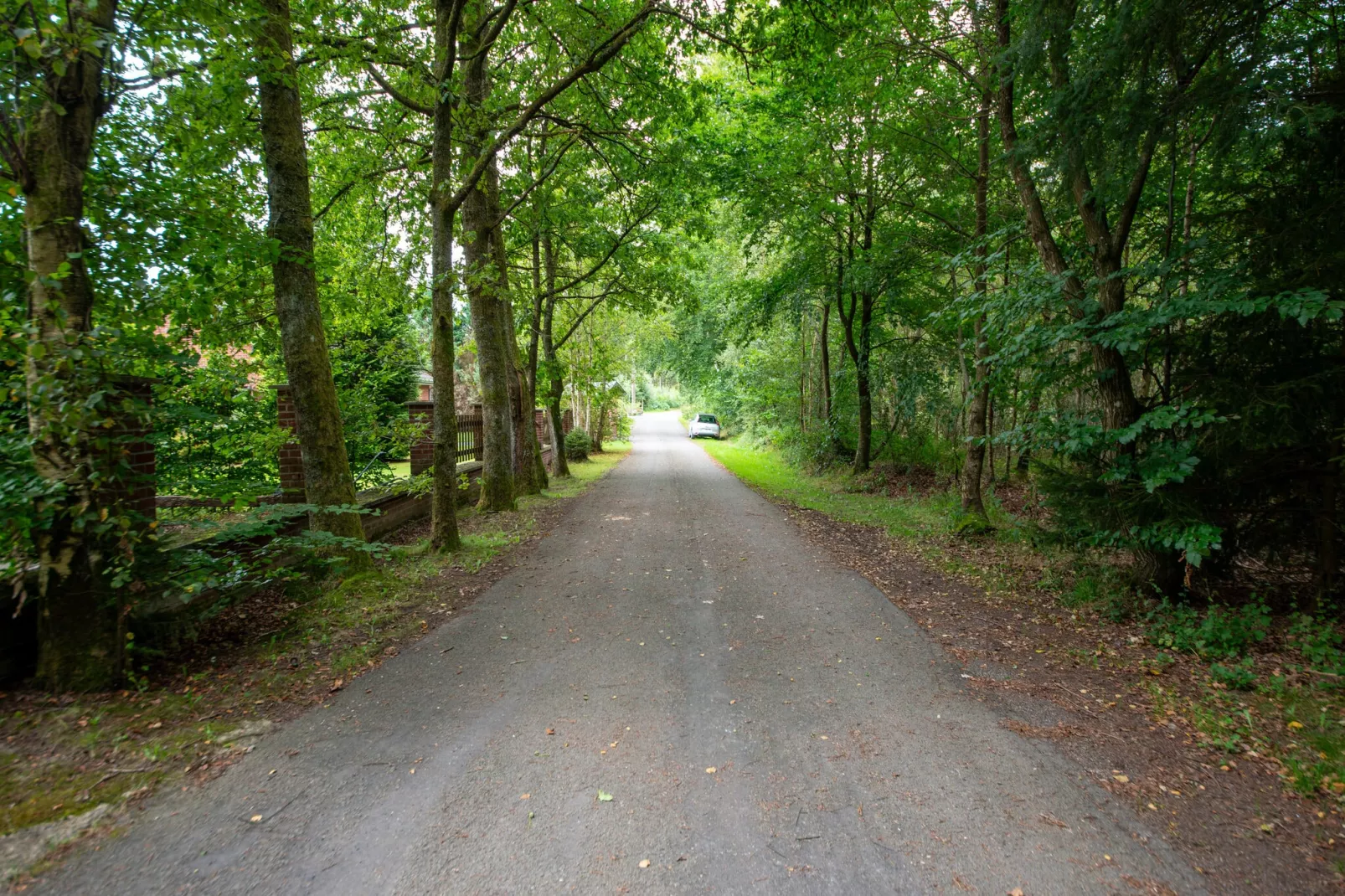 Le repos de Juliette-Gebieden zomer 1km