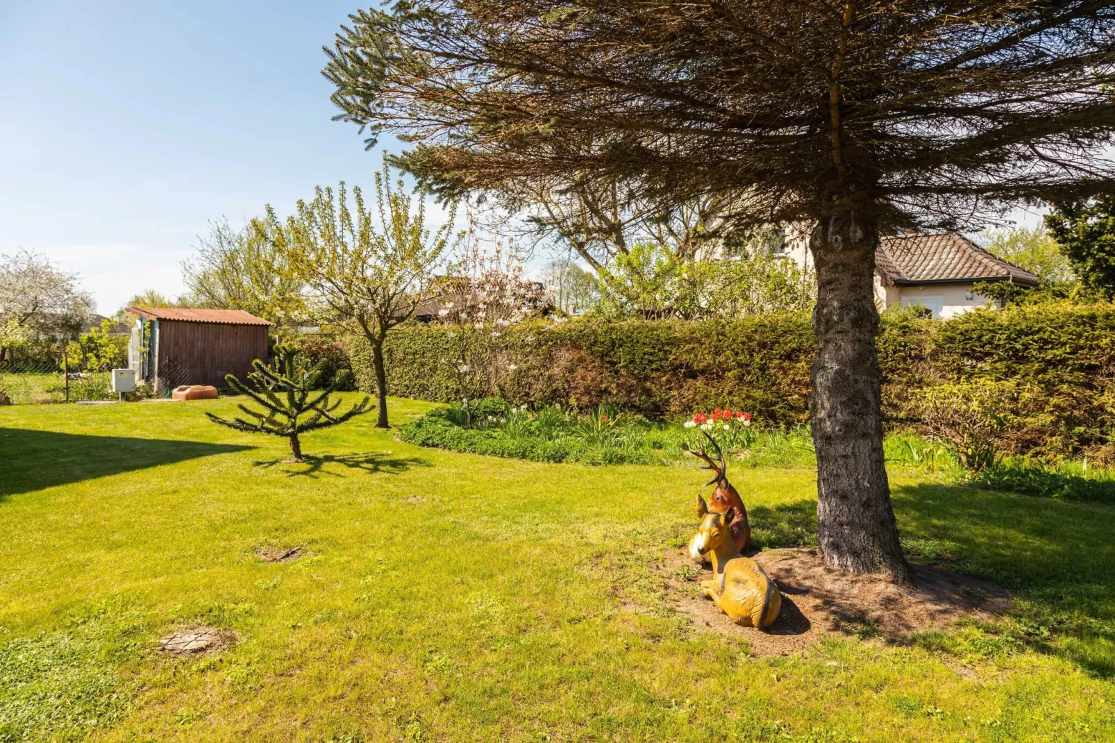 Ferienwohnung Dunker nähe Ostsee-Tuinen zomer