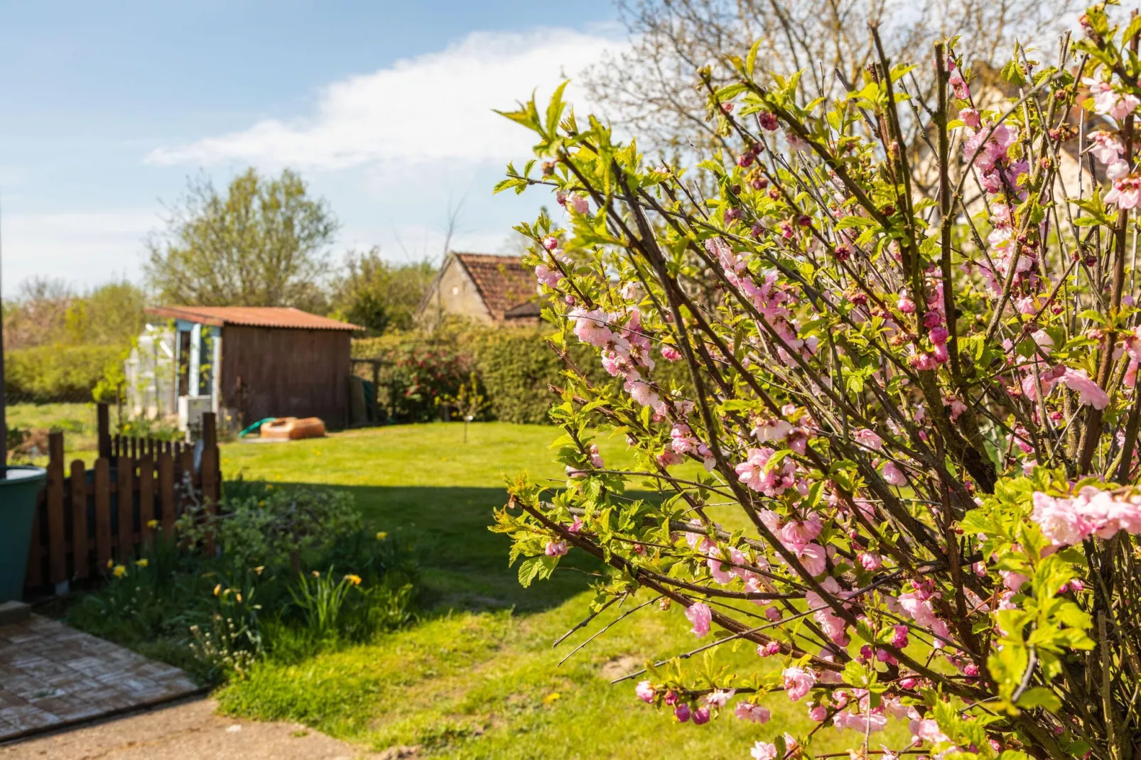 Ferienwohnung Dunker nähe Ostsee-Tuinen zomer