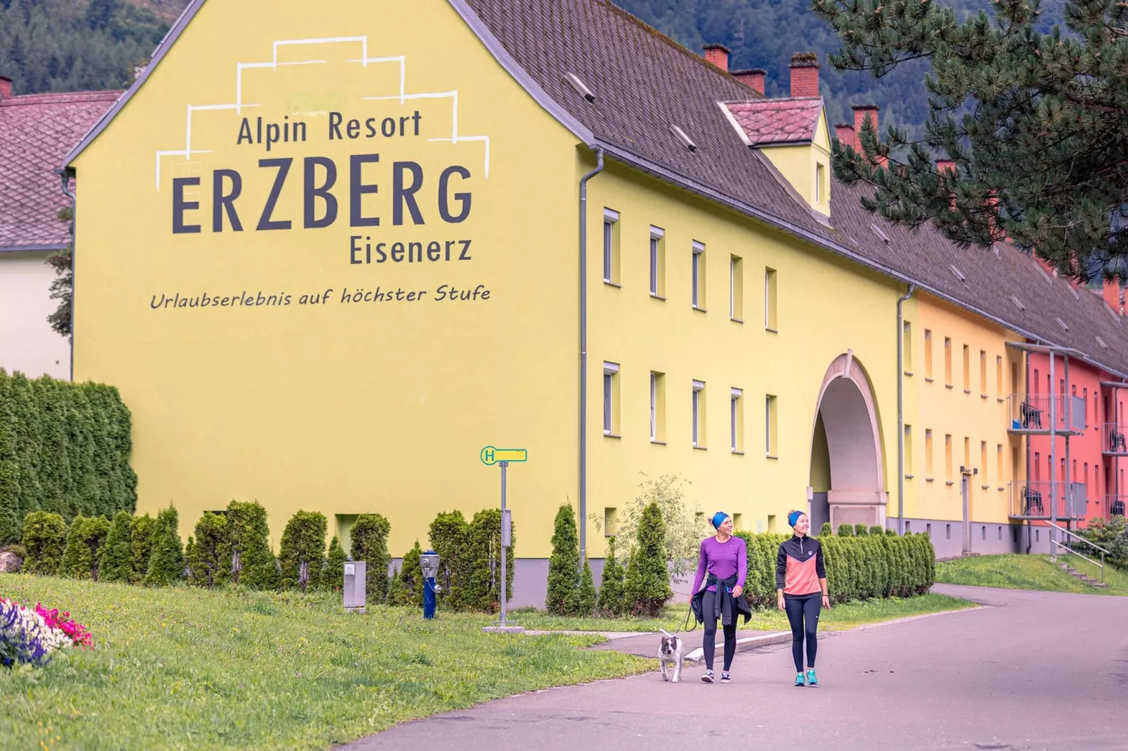 Erzberg Alpin Resort 12-Gebieden zomer 1km