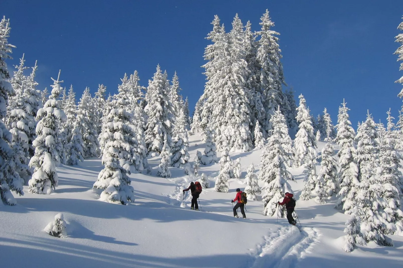 Erzberg Alpin Resort 18-Gebied winter 20km