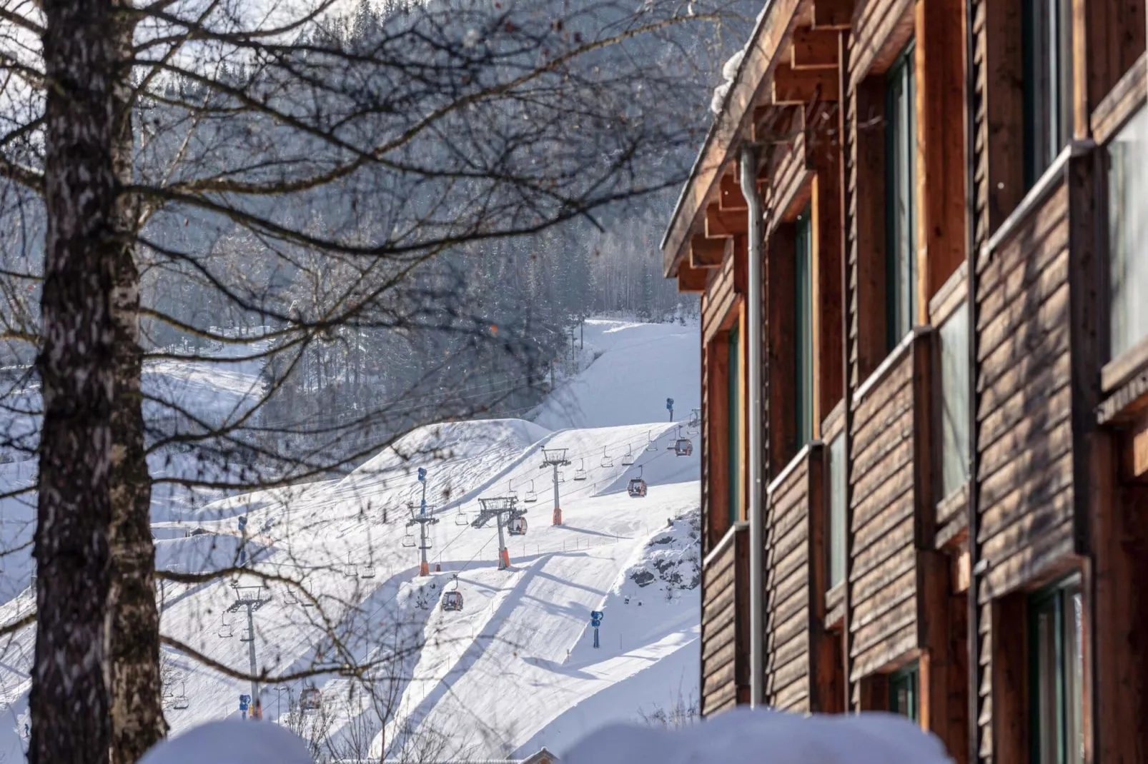 Ferienpark Kreischberg 15-Uitzicht winter