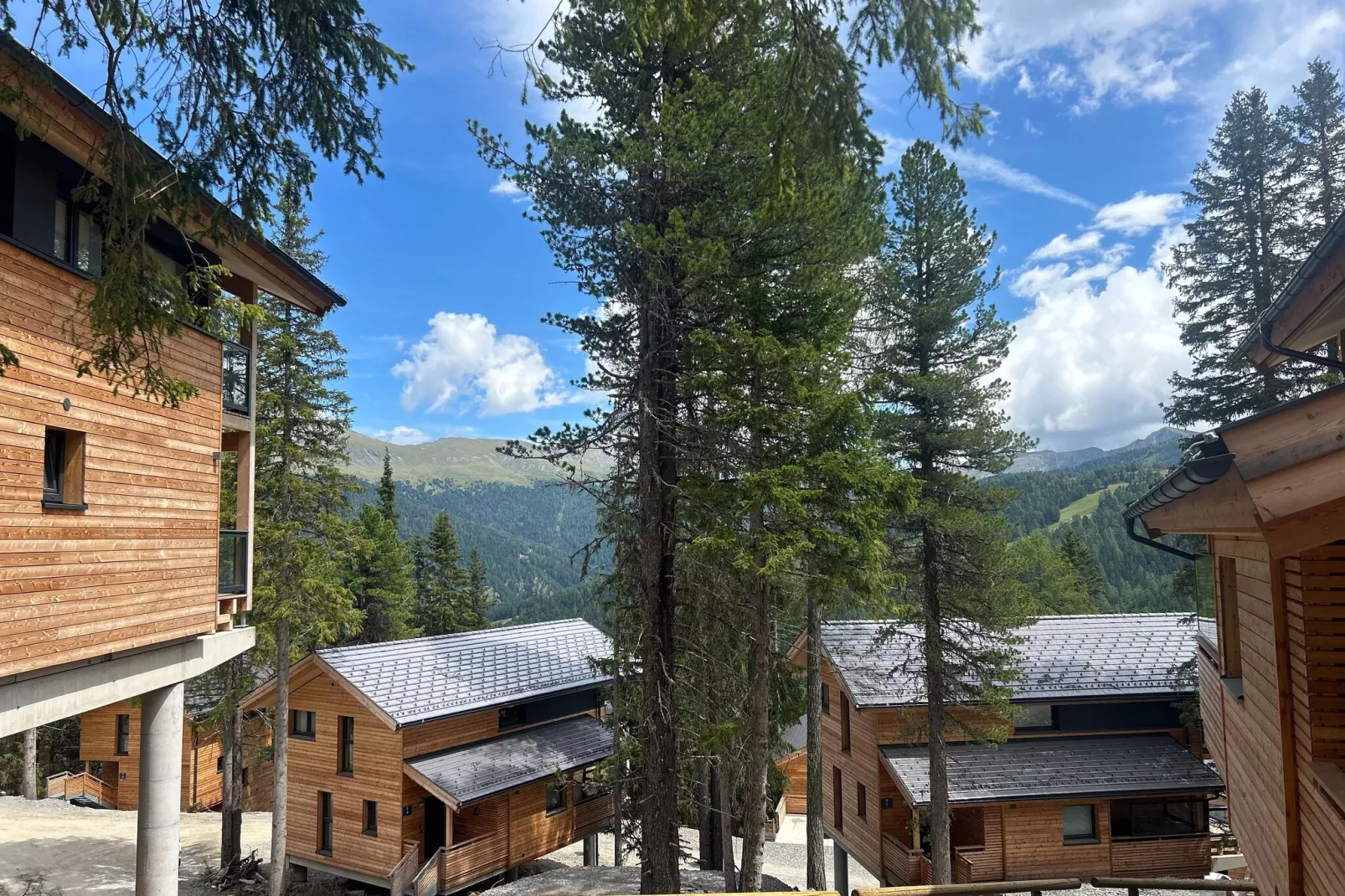 Naturchalets Turracher Höhe 3-Uitzicht zomer