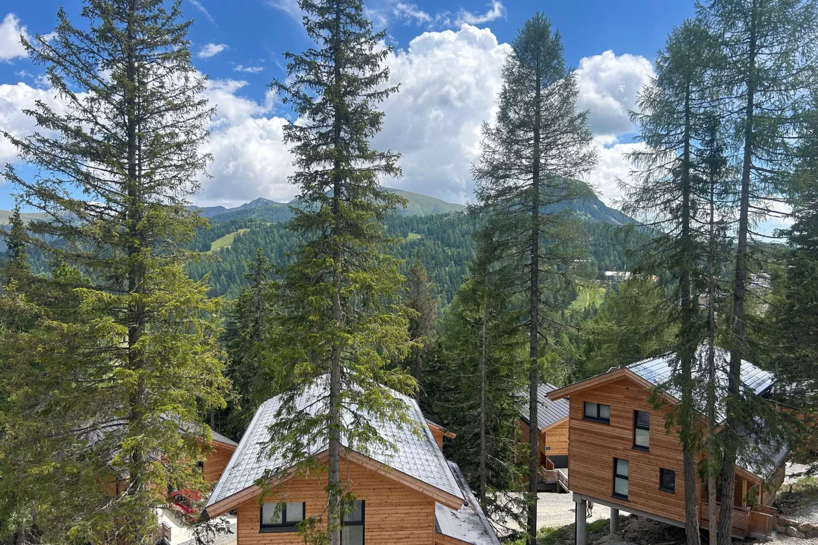 Naturchalets Turracher Höhe 4-Uitzicht zomer