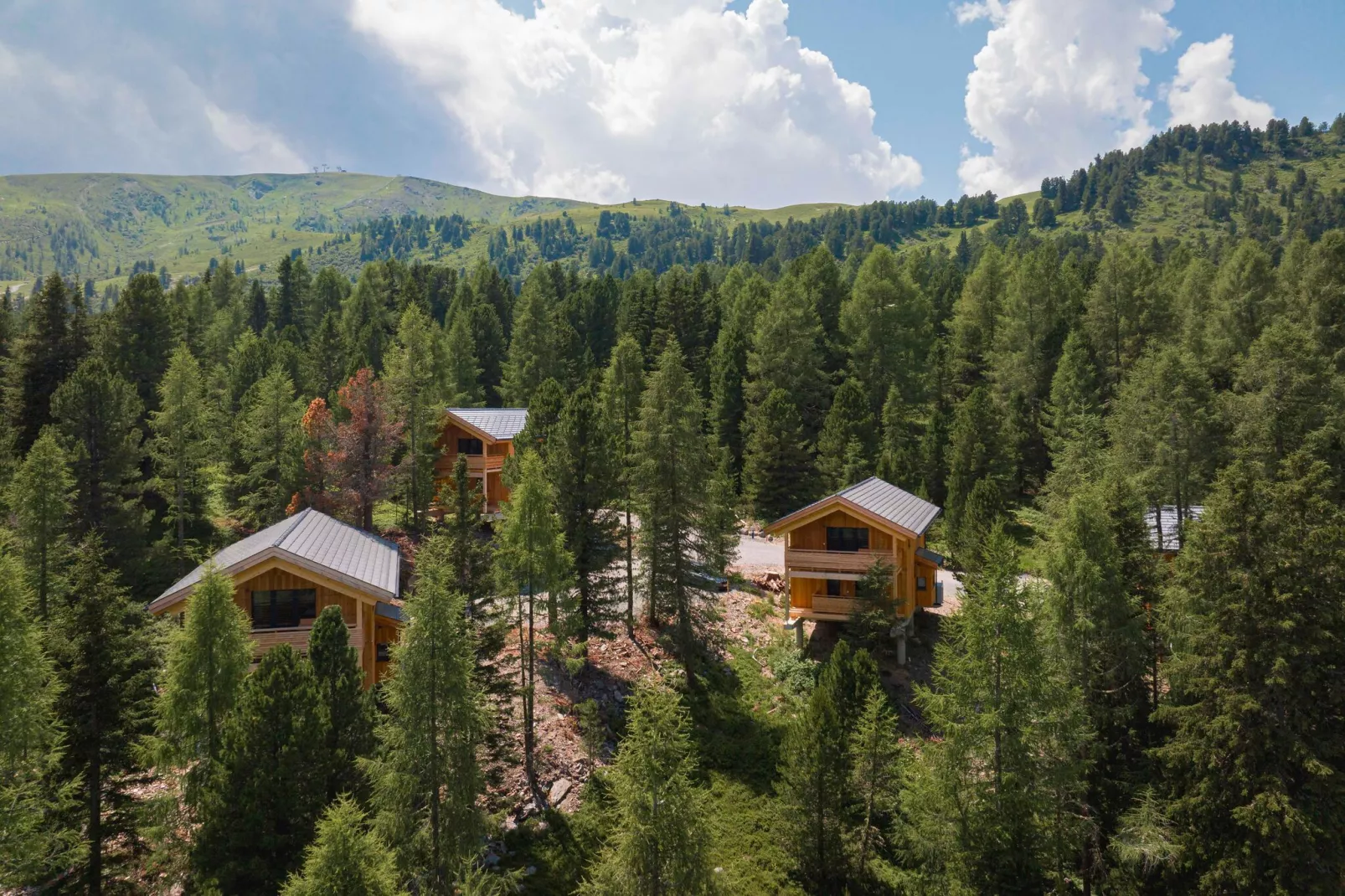 Naturchalets Turracher Höhe 4-Gebieden zomer 1km