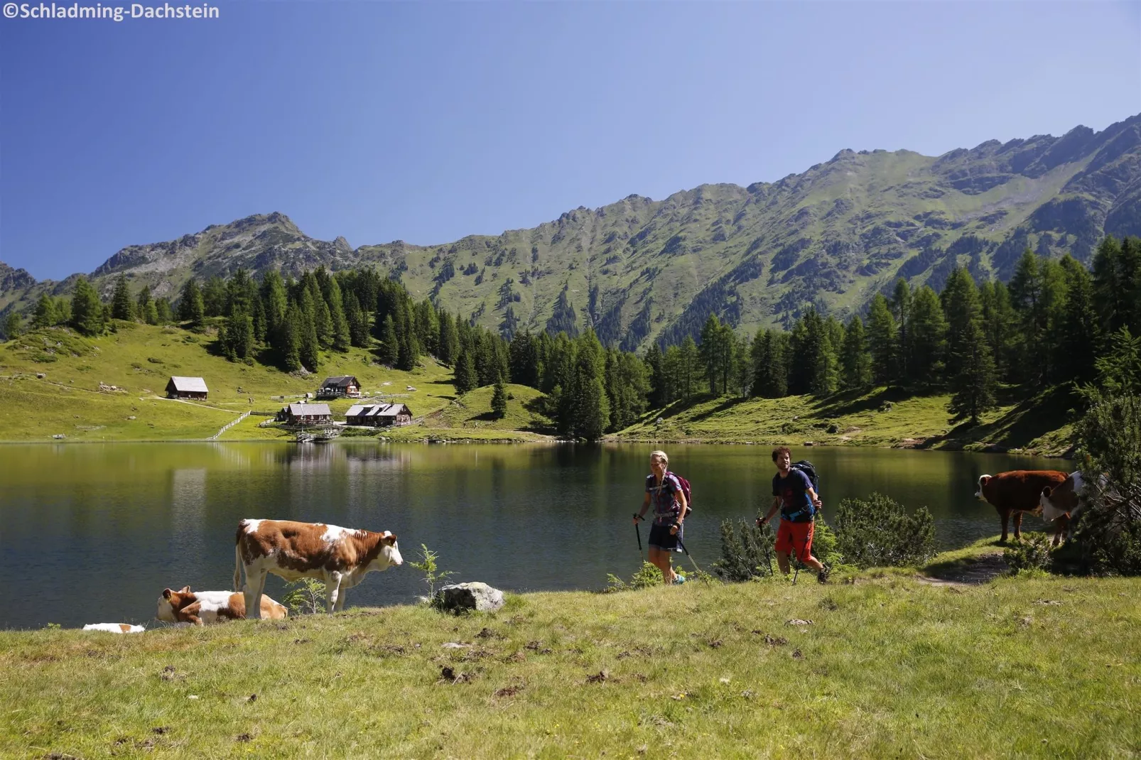 Alpenrock Schladming 6-Gebieden zomer 20km