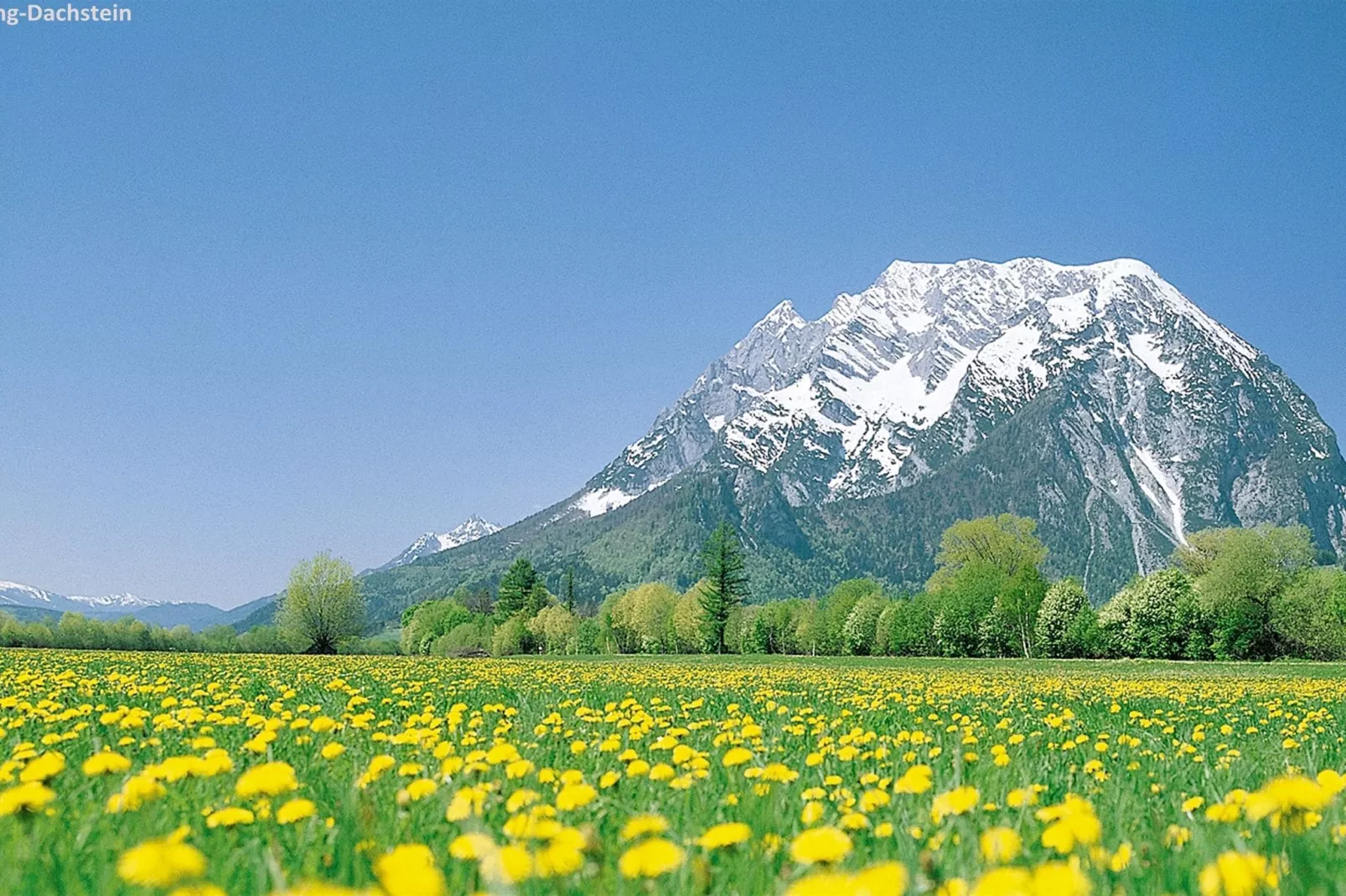 Alpenrock Schladming 6-Gebieden zomer 20km