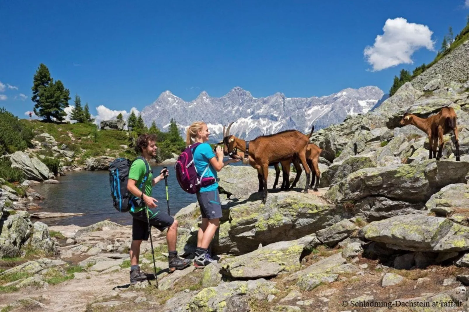 Alpenrock Schladming 7-Gebieden zomer 20km