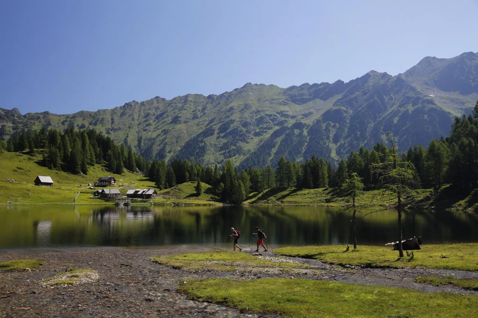 Alpenchalets Reiteralm 10-Gebieden zomer 5km