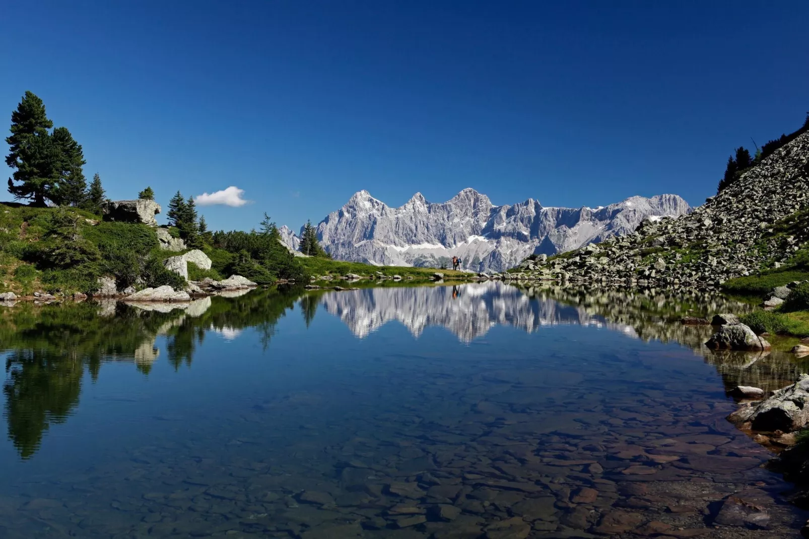 Alpenchalets Reiteralm 11-Gebieden zomer 5km