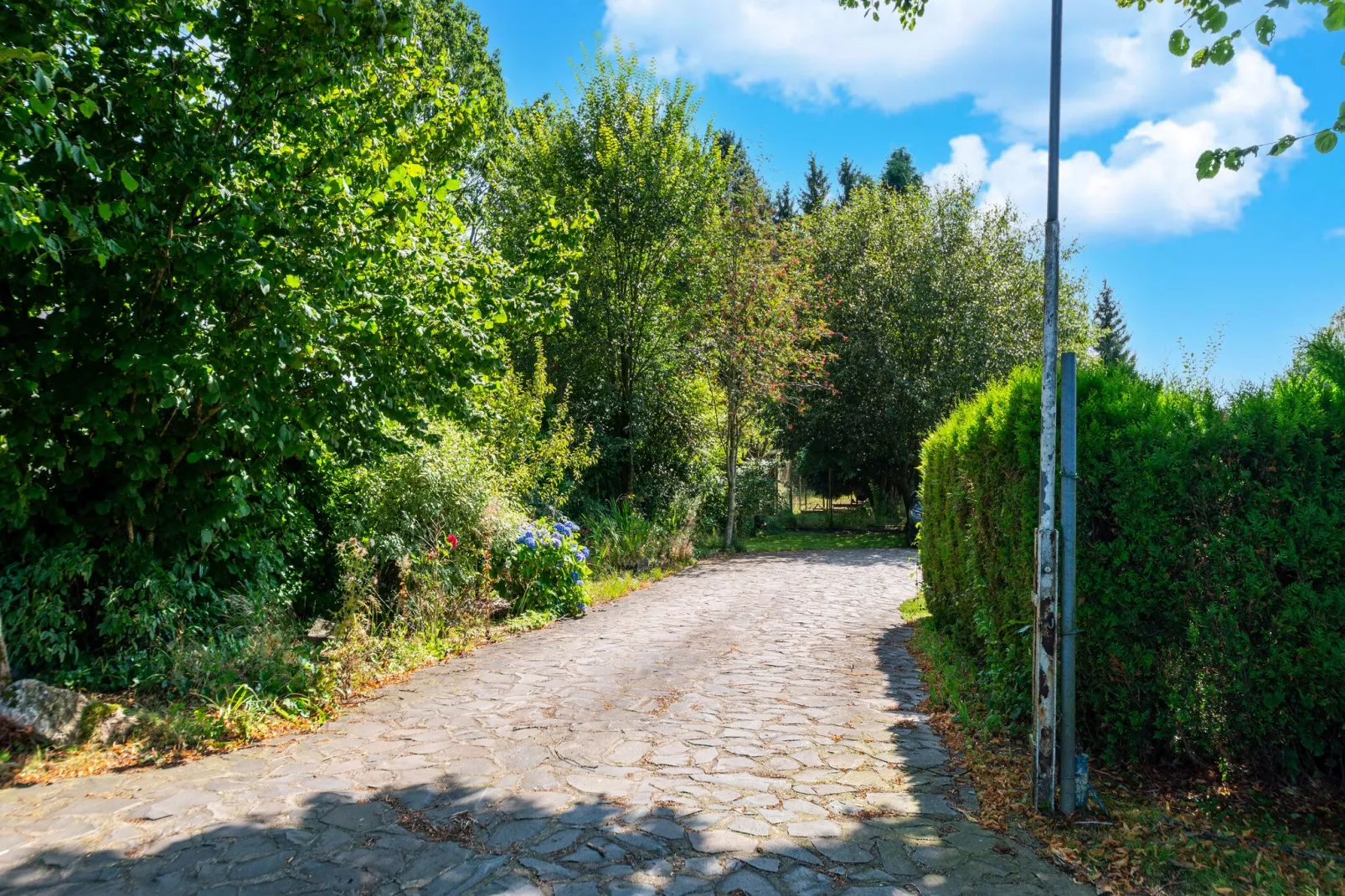 Le Domaine de l’Est-Gebieden zomer 1km