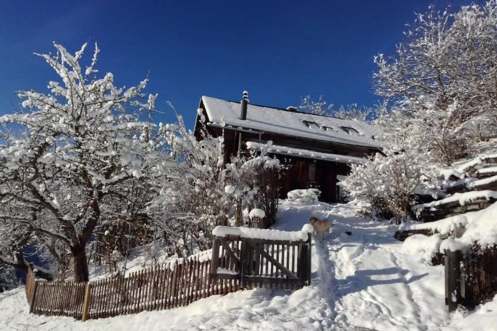 Gstaad Paradise View Chalet with Outdoor Jacuzzi-Uitzicht winter